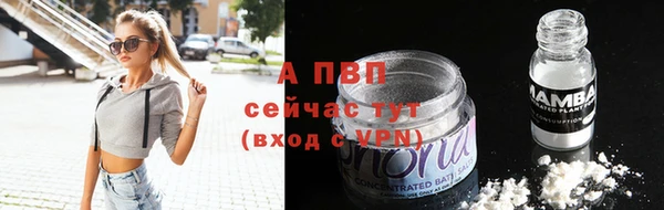 спайс Ладушкин