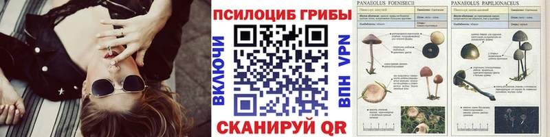 Галлюциногенные грибы мицелий  наркотики  Усть-Кут 